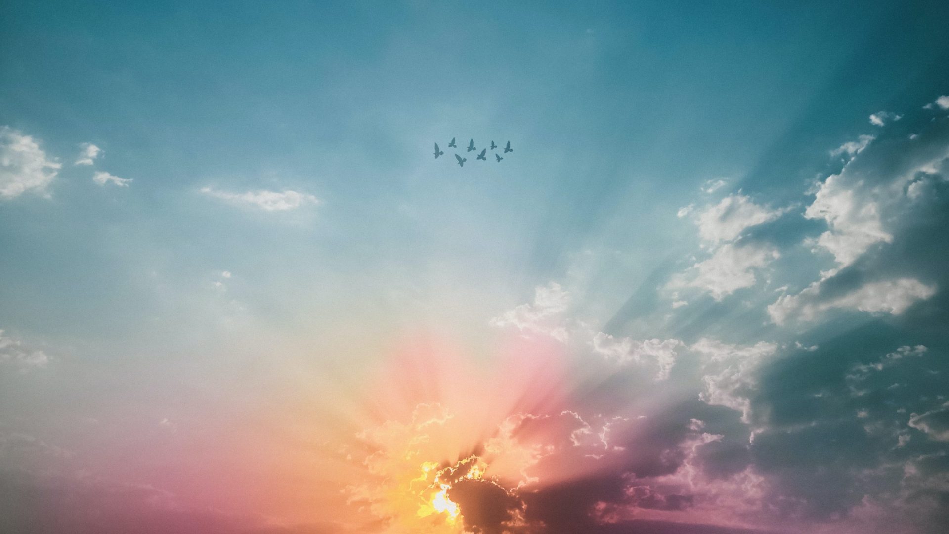 sea-of-clouds-sunrise-wallpaper-2086748